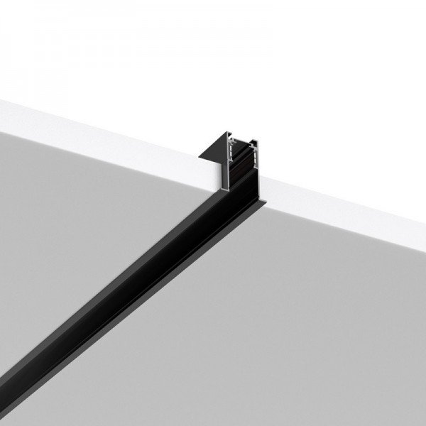 Braytron Sine i aksesoari, BRY-RC01-2M-48VDC-BLC-MAG.RAIL, BY41-00421