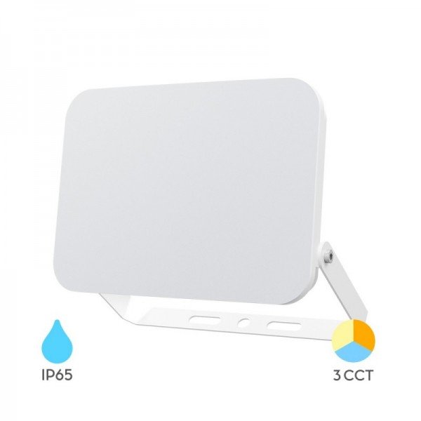 Braytron Led reflektori, BRY-FLOOD-WF-50W-WHT-3IN1-IP65-LED FLOODLIGHT, BT60-55080