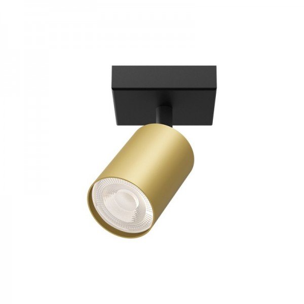 Braytron Nadgradna spot svjetiljka Gu10, BRY-BETA-SRQ-1-GLD-GU10-SPOTLIGHT, BH04-00816