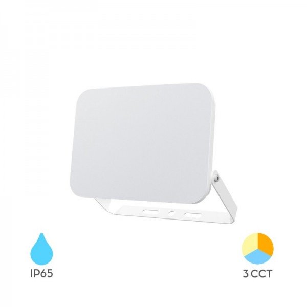 Braytron Led reflektori, BRY-FLOOD-WF-10W-WHT-3IN1-IP65-LED FLOODLIGHT, BT60-51080