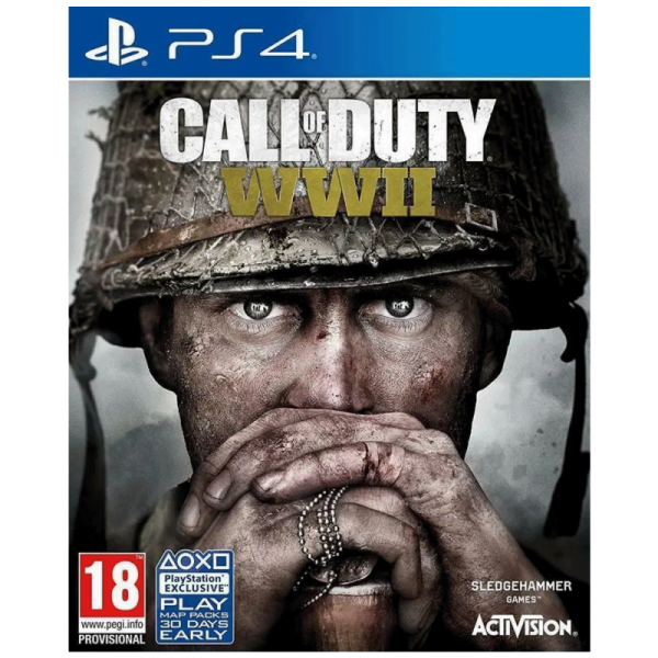 Activision Igra PlayStation 4: Call of Duty WWII