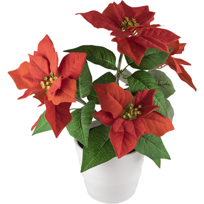 home Dekorativna rasvjeta,...